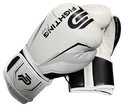 Gants de boxe PU New gen